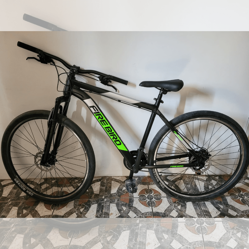 Bicicleta Firebird R29"